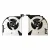 CPU & GPU Fan for Lenovo Legion Y9000X_R9000X IRH8 S7-16 APH8 2023