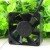 NMB 2410RL-05W-B50 DC 24V 0.11A 2 Wires Axial Cooling Fan